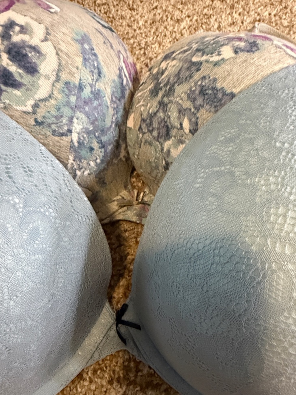 Cacique 40G bra bundle set of 2 boost plunge like new no flaws smoke pet free - Picture 4 of 5